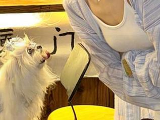 51吃瓜导航：今天的瓜是西瓜还是切开的秘密呢？