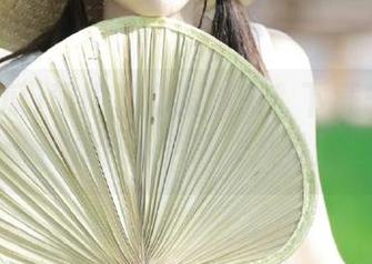 朝阳群众发糖啦！下载51吃瓜，抢个热乎乎的八卦！