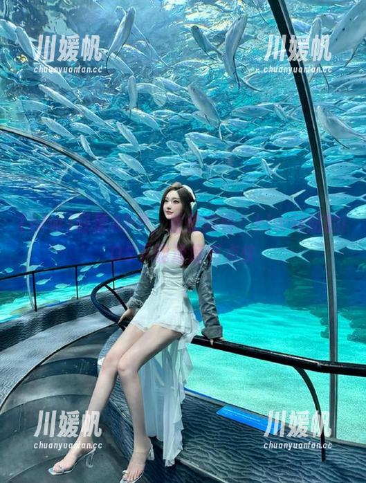 轻量APP，重磅内容！hlw网站的iOS下载速度有点快