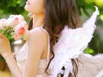 收藏栏满了，里面全是“zztt21”的八卦草图