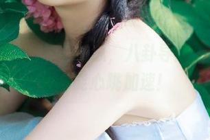 网曝吃瓜，八卦导航，让你每天都能心跳加速！