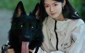 看吧，苹果手机下载黑料不打烊app的路线简直像个寻宝；有没有捷径分享？