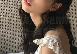 永不迷路，黑料社的狗血剧情总让人想一探究竟！
