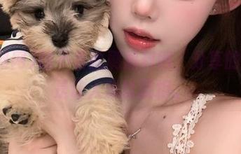 睡不着就刷黑料网，分享的瓜总是让人难以抗拒。